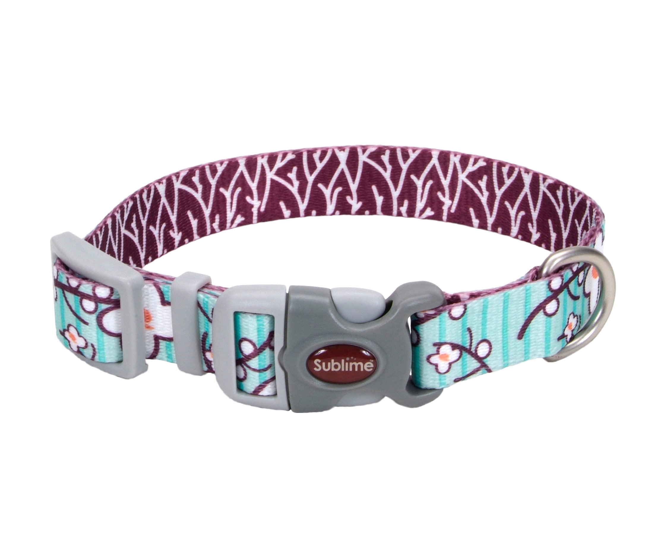 Coastal Coastal Sublime Adjustable Collar