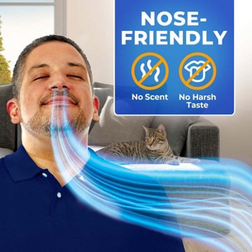 Nasacort Allergy 24 Hour Relief Nasal Spray