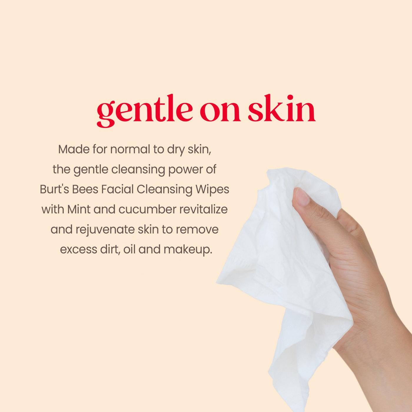 Burt's Bees Refreshing Facial Towelettes - Cucumber & Mint; image 5 of 13