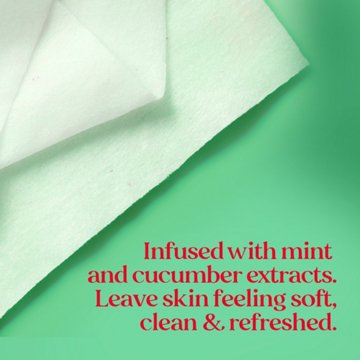 Burt's Bees Refreshing Facial Towelettes - Cucumber & Mint, 30 ct