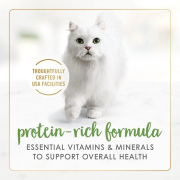 Fancy Feast Purina Gravy Lovers Gourmet Wet Cat Food - Salmon Feast