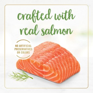 Fancy Feast Purina Gravy Lovers Gourmet Wet Cat Food - Salmon Feast