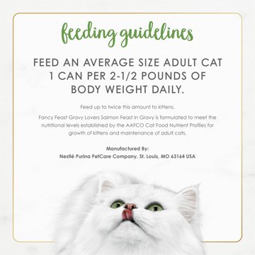 Fancy Feast Purina Gravy Lovers Gourmet Wet Cat Food - Salmon Feast