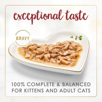 Fancy Feast Purina Gravy Lovers Gourmet Wet Cat Food - Beef Feast