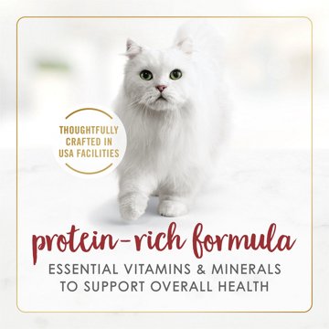 Fancy Feast Purina Gravy Lovers Gourmet Wet Cat Food - Beef Feast