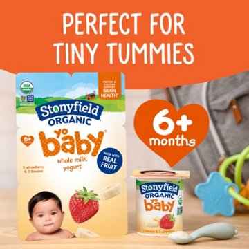 Stonyfield Organic YoBaby Whole Milk Yogurt - Banana & Strawberry