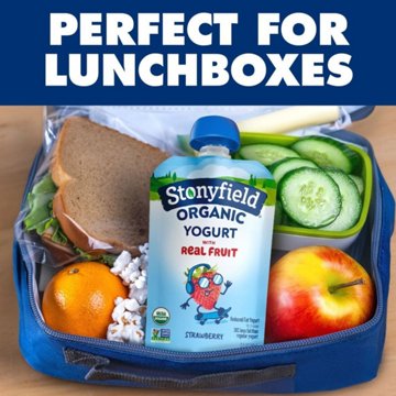 Stonyfield Organic Kids Lowfat Yogurt Pouches - Strawberry