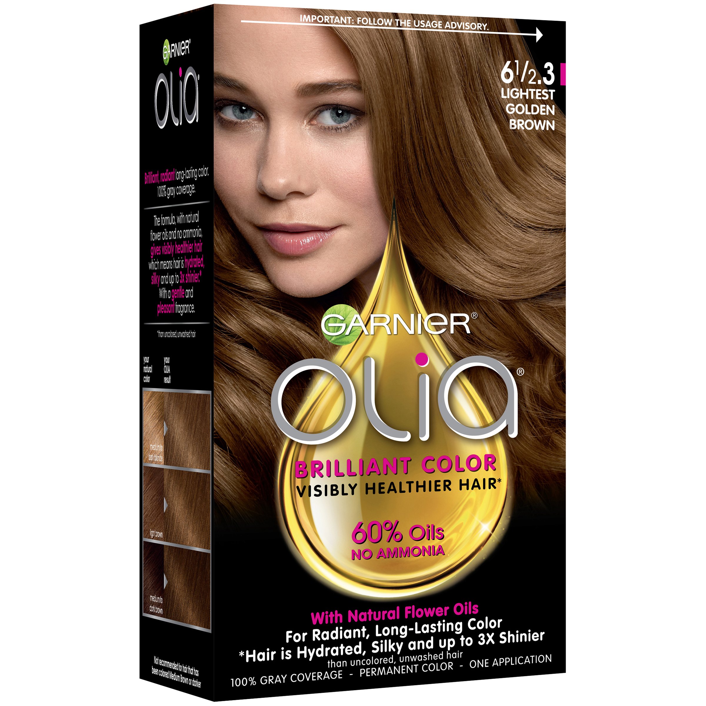 Garnier Olia Oil Powered Ammonia Free Permanent Hair Color 6 1/ Lightest Golden  Brown - Shop Hair Care at H-E-B
