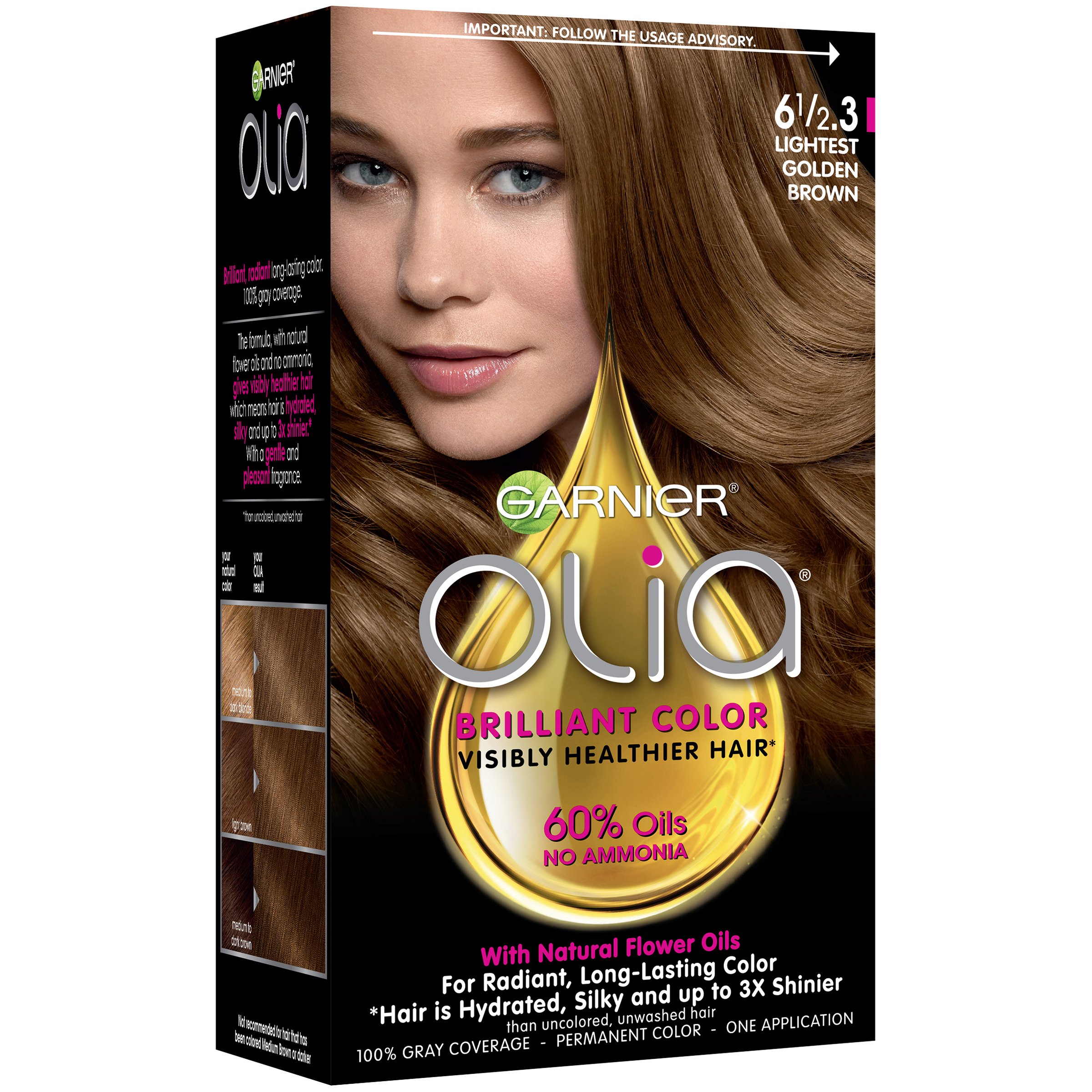 Garnier Olia Oil Powered Ammonia Free Permanent Hair Color 6 1/2.3 Lightest  Golden Brown - Shop Hair Care at H-E-B