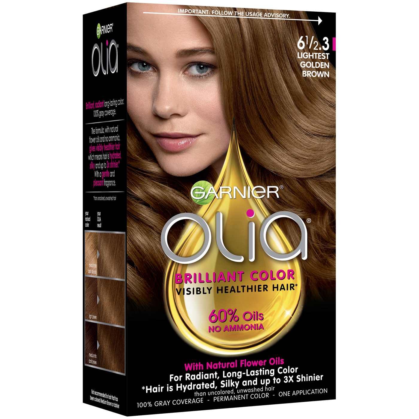 Garnier Olia Oil Powered Ammonia Free Permanent Hair Color 6 1/2.3 Lightest Golden Brown; image 1 of 12