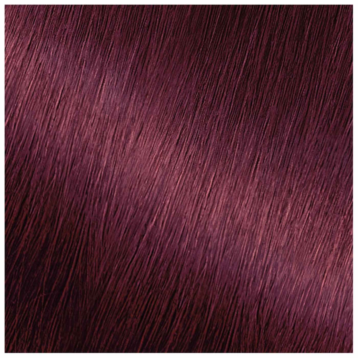 Garnier Nutrisse Nourishing Hair Color Creme - BR2 Dark Intense Burgundy; image 2 of 5