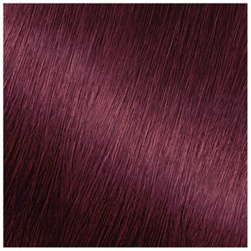 Garnier Nutrisse Nourishing Hair Color Creme - BR2 Dark Intense Burgundy
