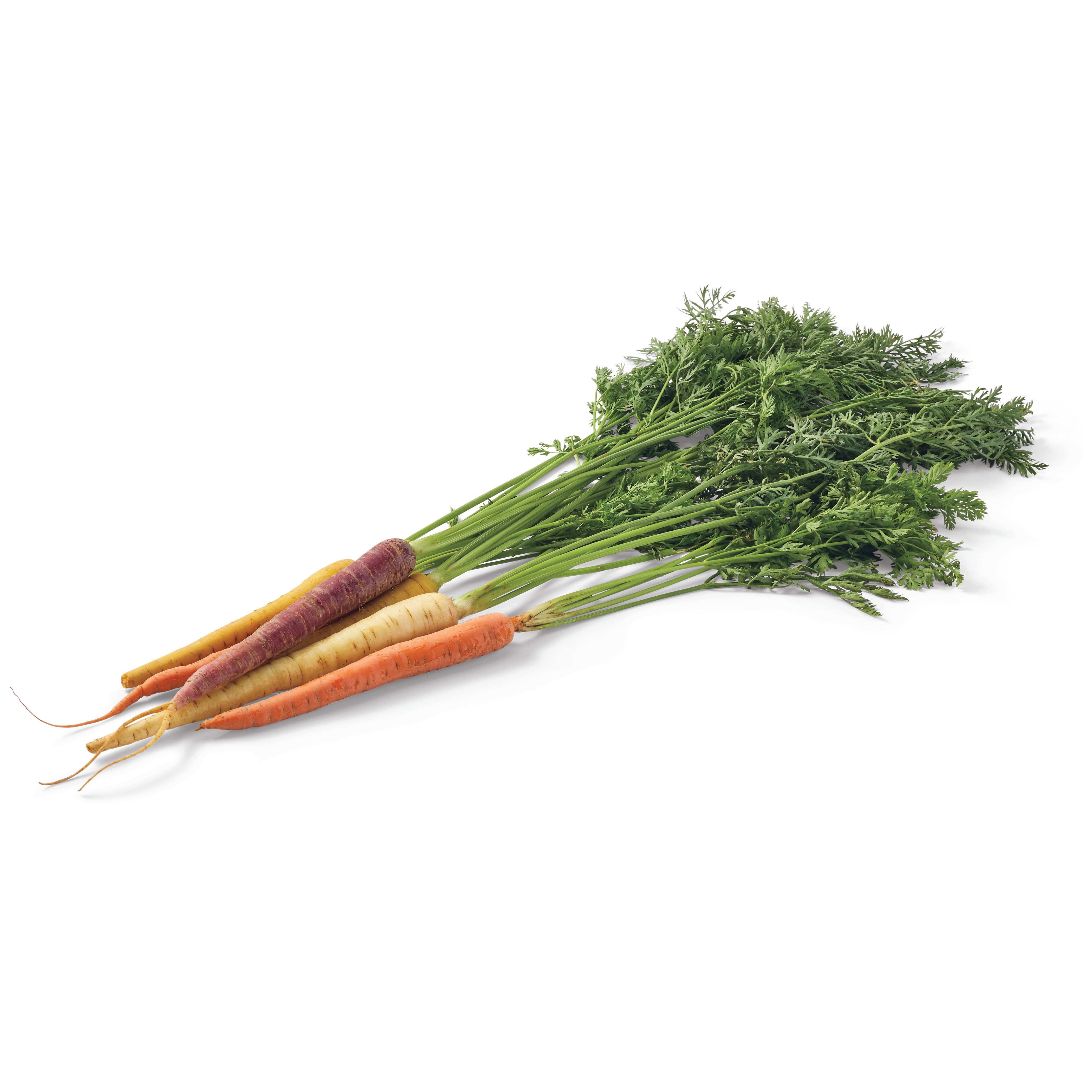 Fresh Organic Rainbow Carrots, 1 Bunch