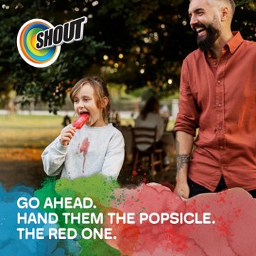 Shout Wipe & Go Instant Stain Remover Wipes, 12 ct