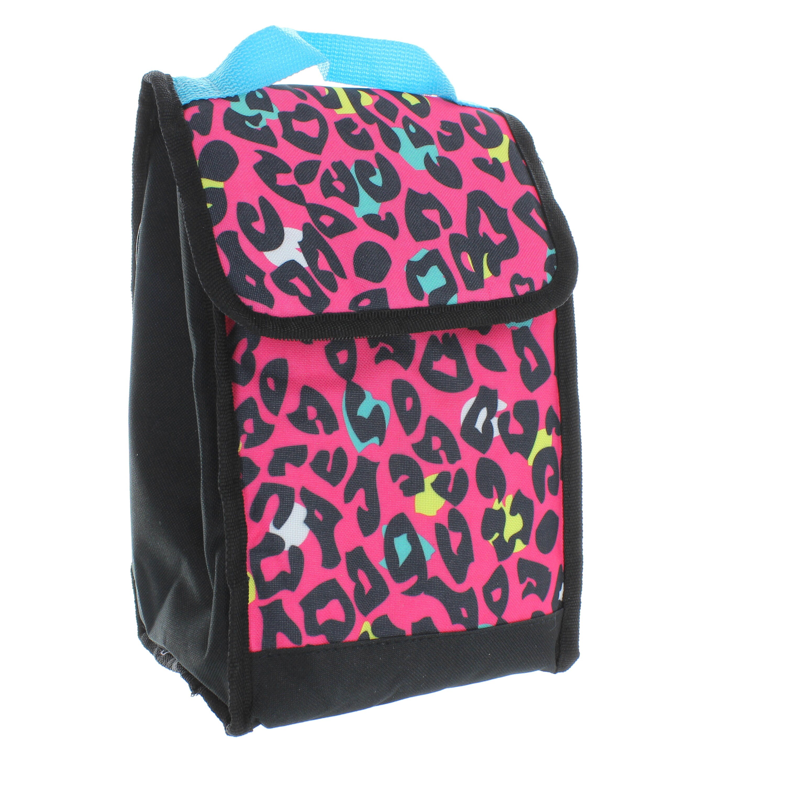 Fridge pak 2024 lunch bag