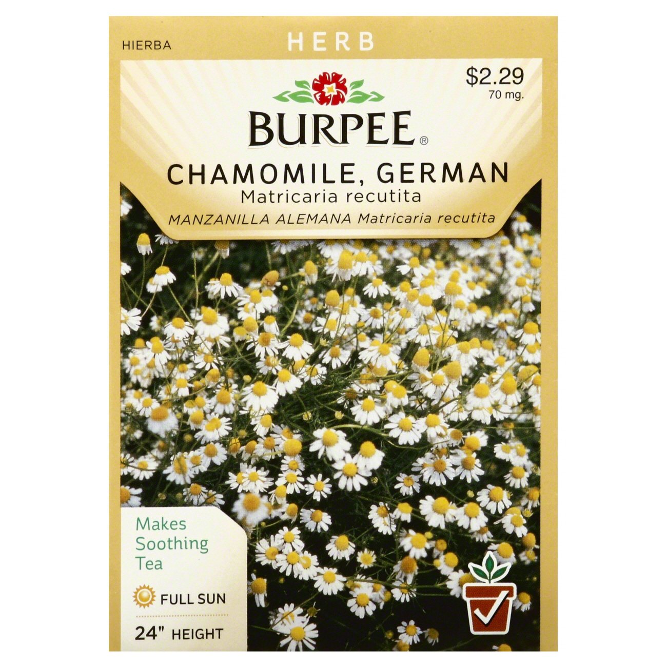 500+++Chamomile Flower Seeds/ German/ Tea Flower Seeds/ Tra Hoa Cuc Seeds/ US