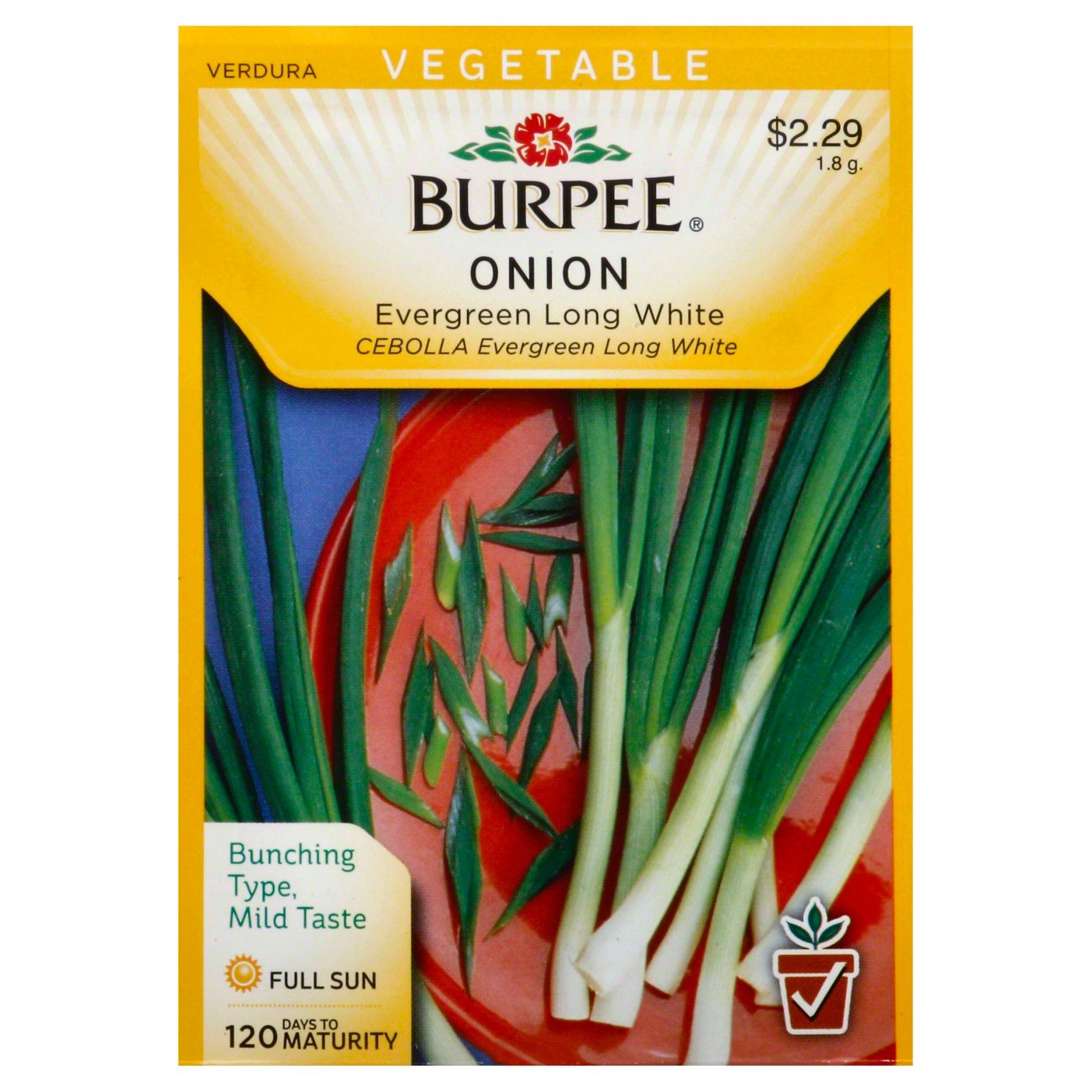 Burpee Bunching Onion Seeds, Evergreen Long White Shop Seeds at HEB