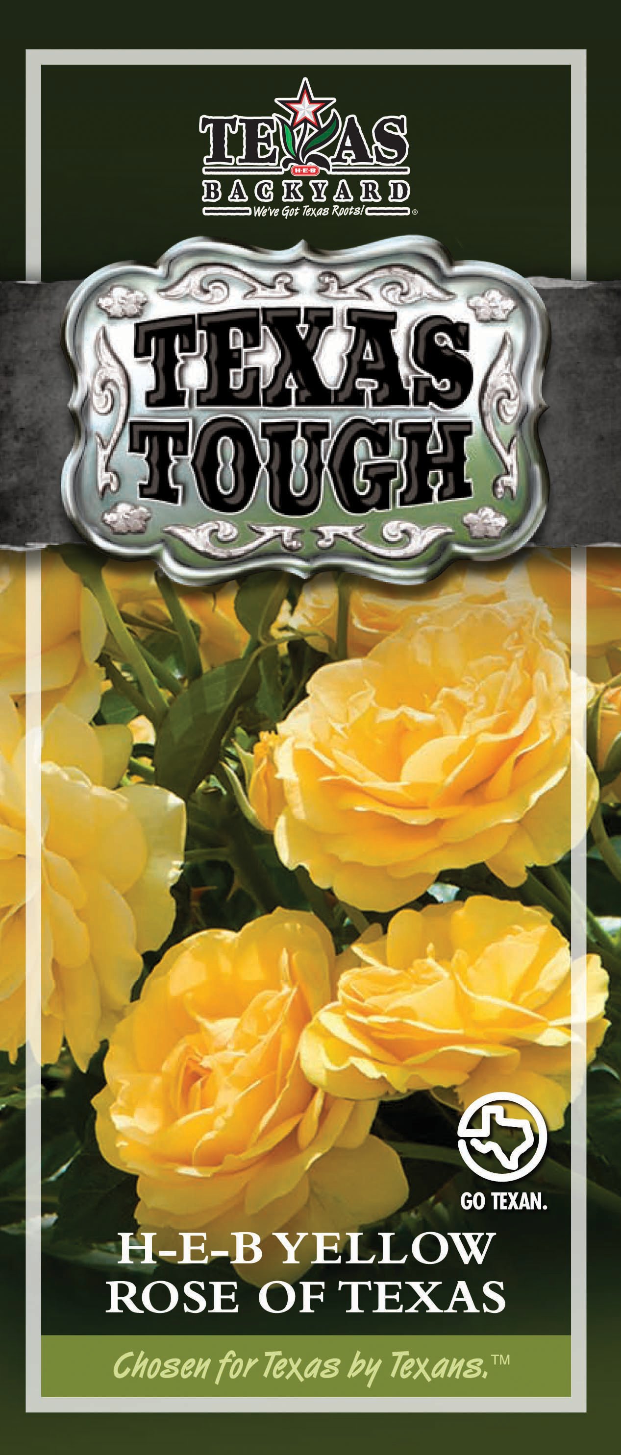 H-E-B Texas Tough Yellow Rose Of Texas - Shop Potted plants at H-E-B