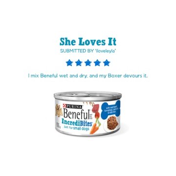 Beneful Purina Small Breed Wet Dog Food With Gravy, IncrediBites with Real Beef