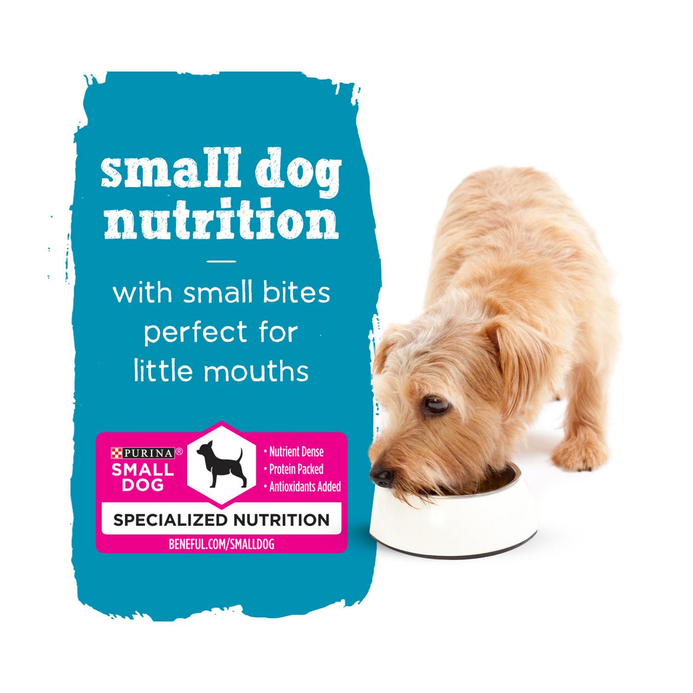 Beneful Purina Beneful Small Breed Wet Dog Food With Gravy, IncrediBites with Real Beef; image 6 of 8