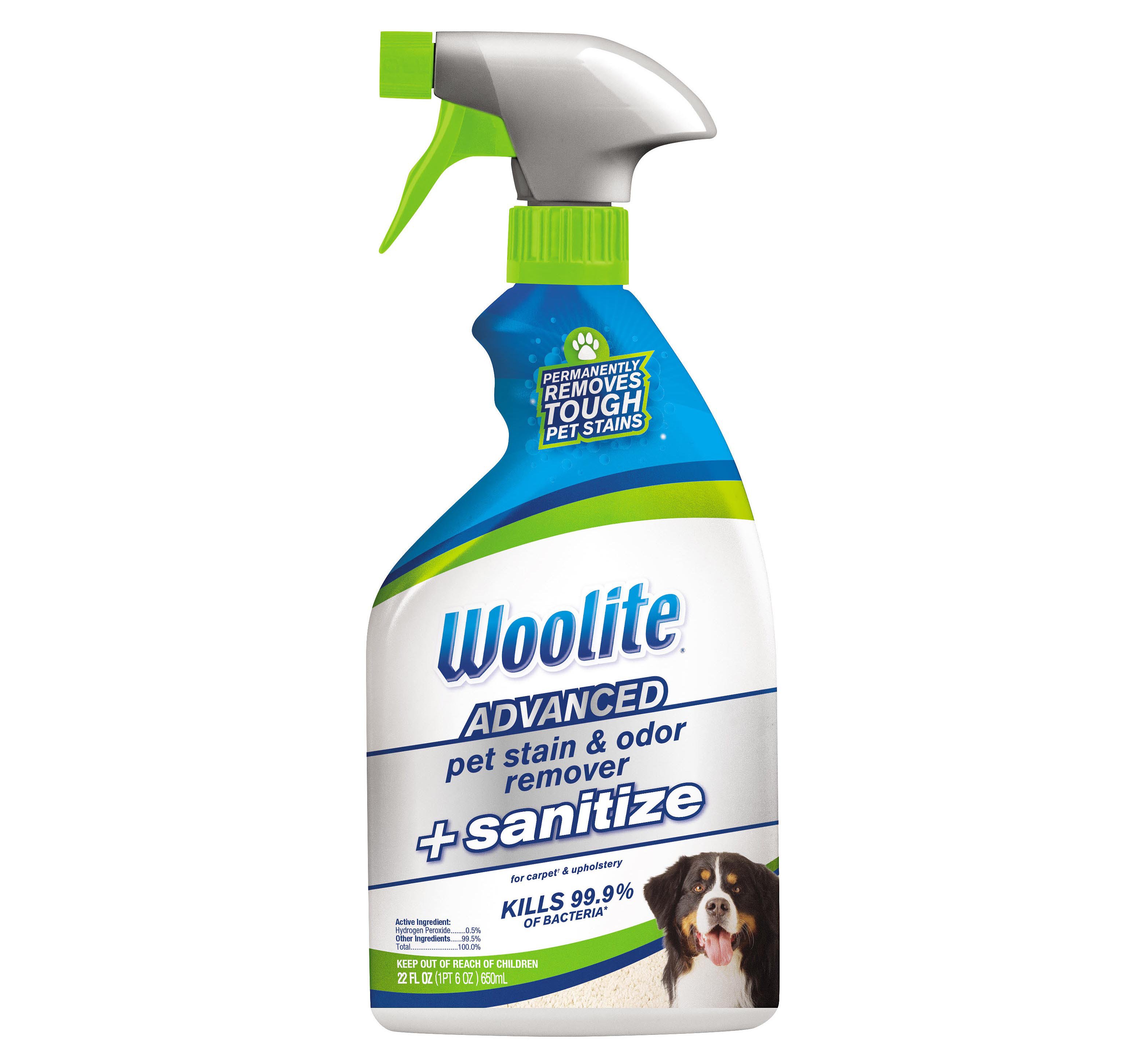 WOOLITE Oxy-deep Carpet Stain Remover Great for pet messes 8538