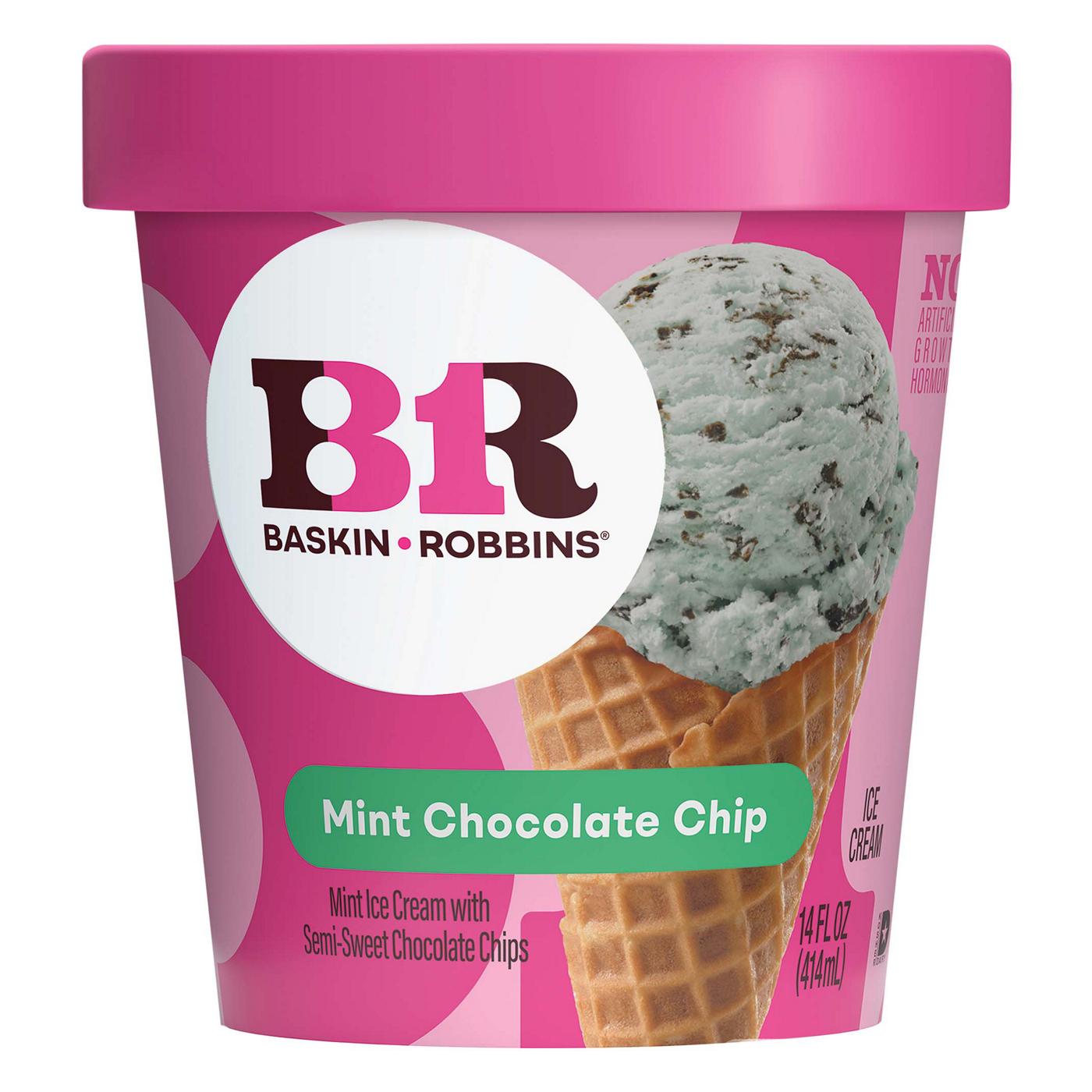 Baskin Robbins Mint Chocolate Chip Ice Cream; image 1 of 4