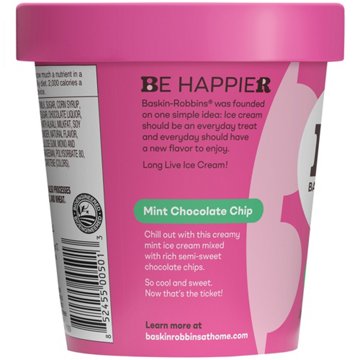Baskin Robbins Mint Chocolate Chip Ice Cream