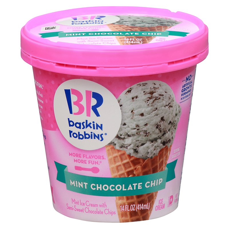 Baskin Robbins Mint Chocolate Chip Ice Cream - Shop Ice Cream & Treats