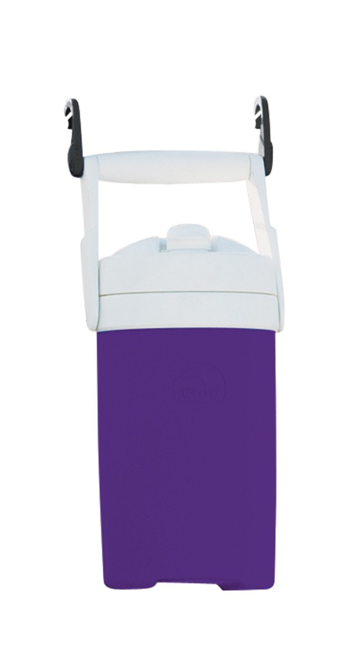 Purple igloo water sales jug