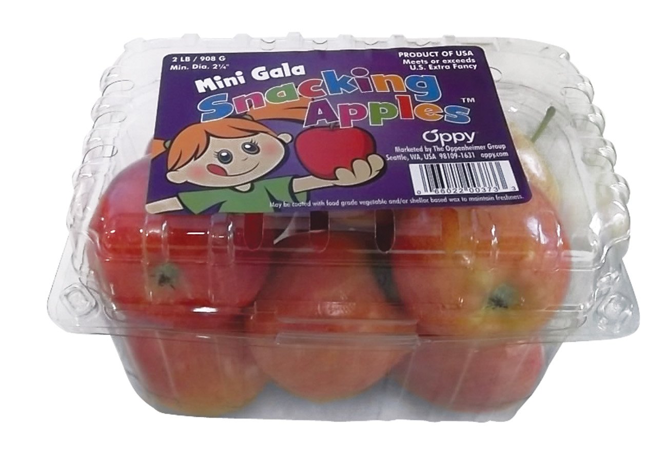 Fresh Gala Snacking Apples Shop Apples at HEB