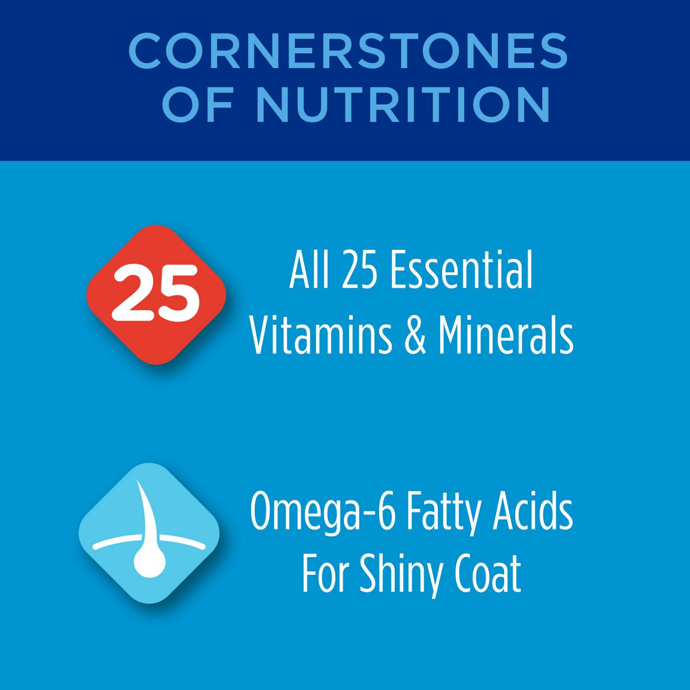 Cat Chow Purina Complete High Protein Dry Cat Food - Real Chicken; image 7 of 9