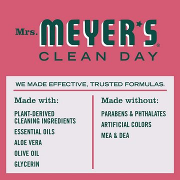 Mrs. Meyer's Clean Day Watermelon Foaming Hand Soap, 10 oz