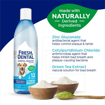 Naturel Promise Fresh Dental Water Additive, 18 oz