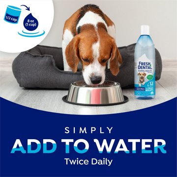 Naturel Promise Fresh Dental Water Additive, 18 oz