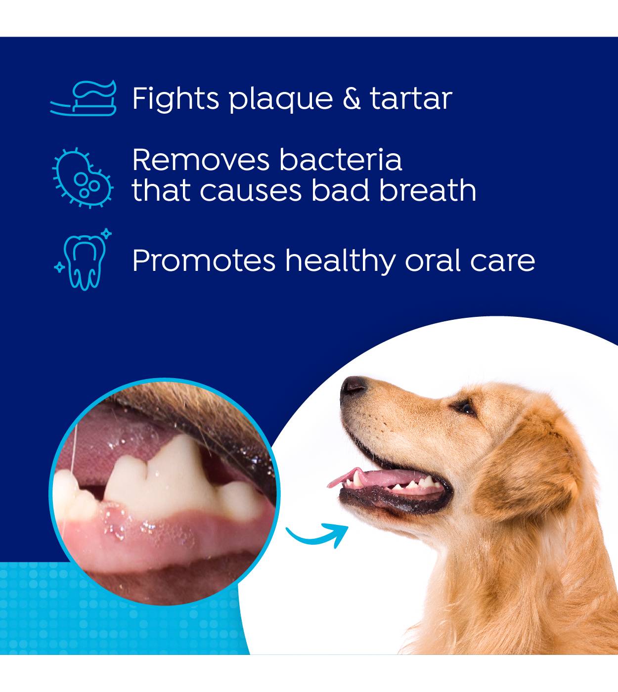 Naturel Promise Fresh Dental Water Additive; image 6 of 10