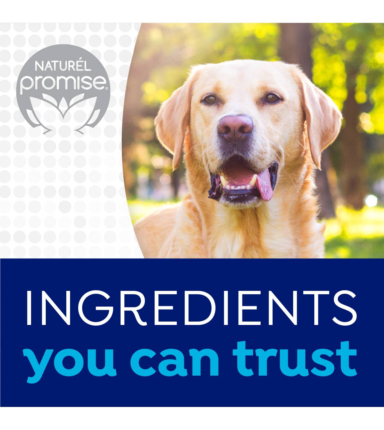 Naturel Promise Fresh Dental Water Additive; image 9 of 10