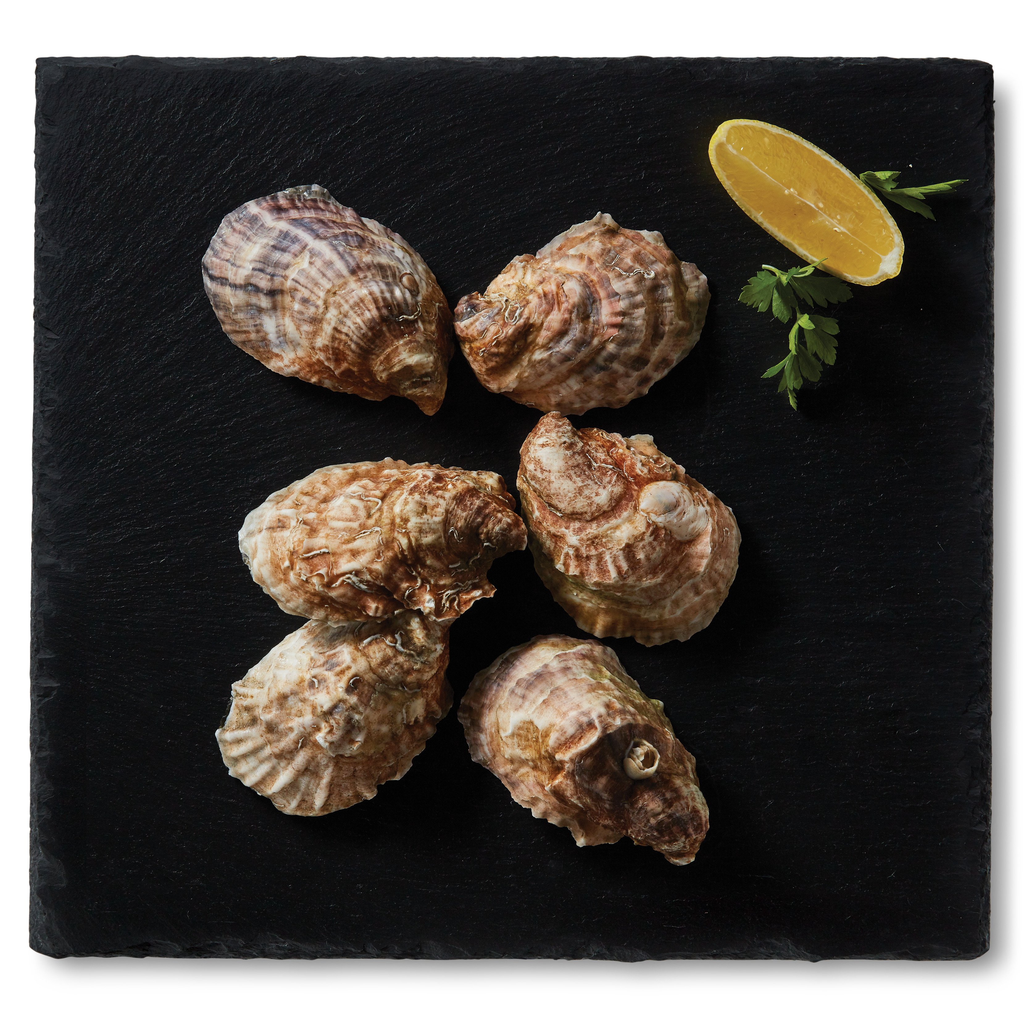 H-E-B Responsibly Raised Live Fresh Wellfleet Oyster - Shop Shrimp ...