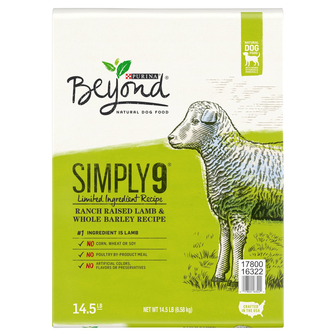 beyond dry dog food