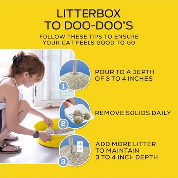 Tidy Cats Purina LightWeight 24/7 Performance Odor Control Multi-Cat Litter Clumping Dust Free, 17 lb