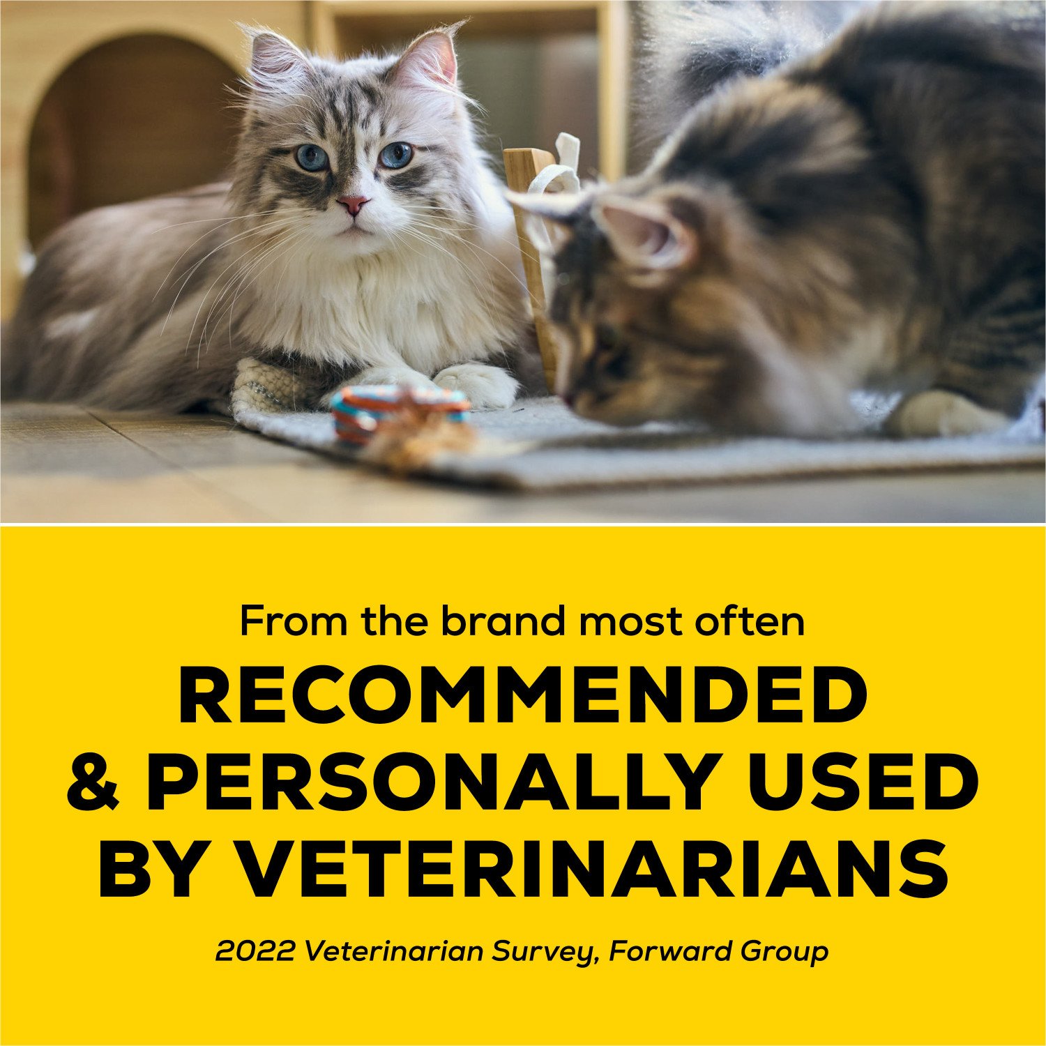 Tidy Cats Purina Tidy Cats Light Weight Low Dust Clumping Cat Litter 24 7 Performance Multi Cat Litter Shop Litter litter boxes at H E B