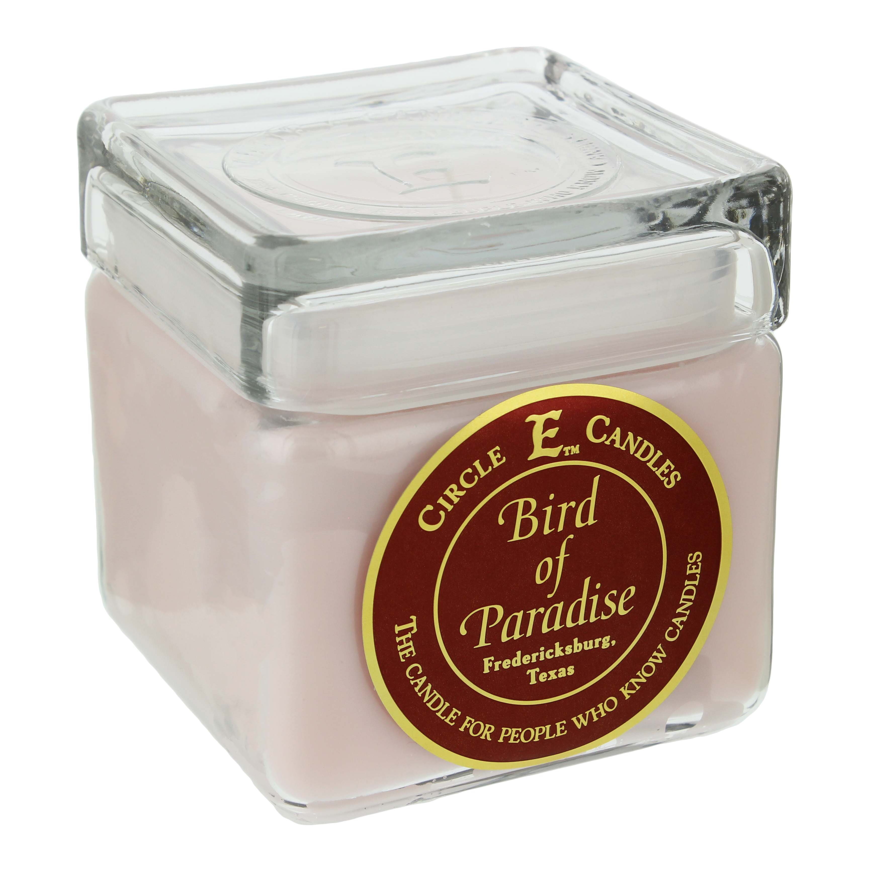 Bird of outlet paradise candle