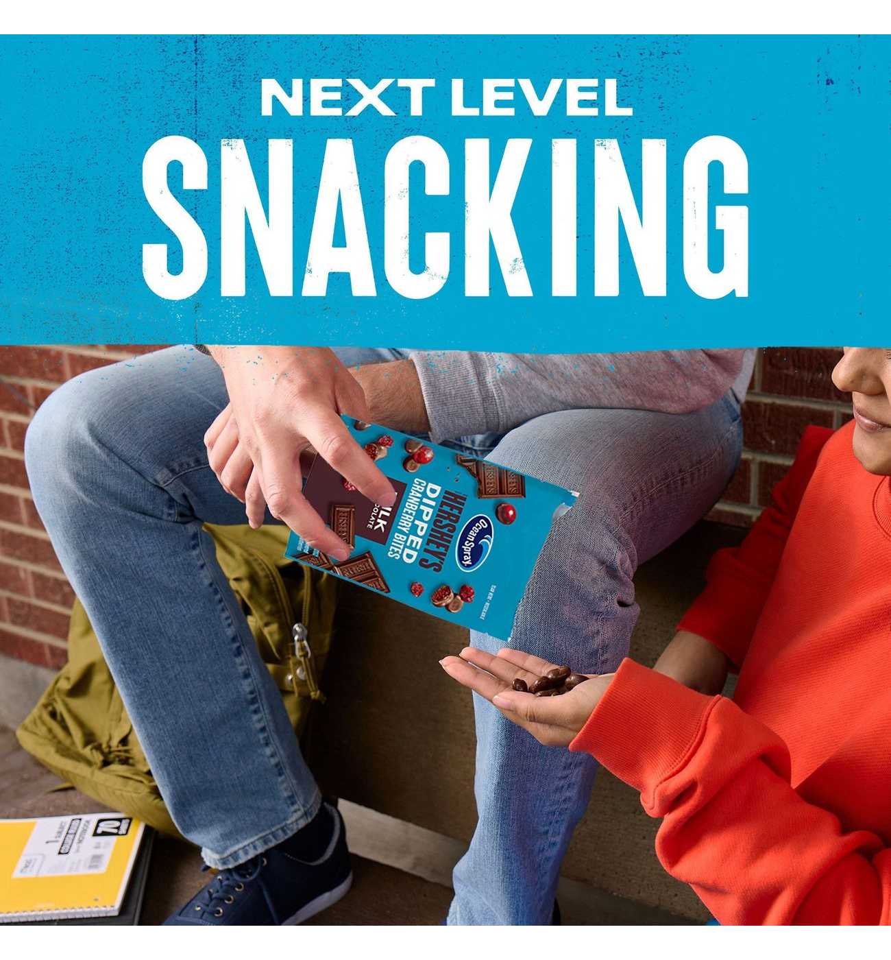 Ocean Spray Hershey's Milk Chocolate Dipped Craisins Cranberry Bites; image 2 of 7