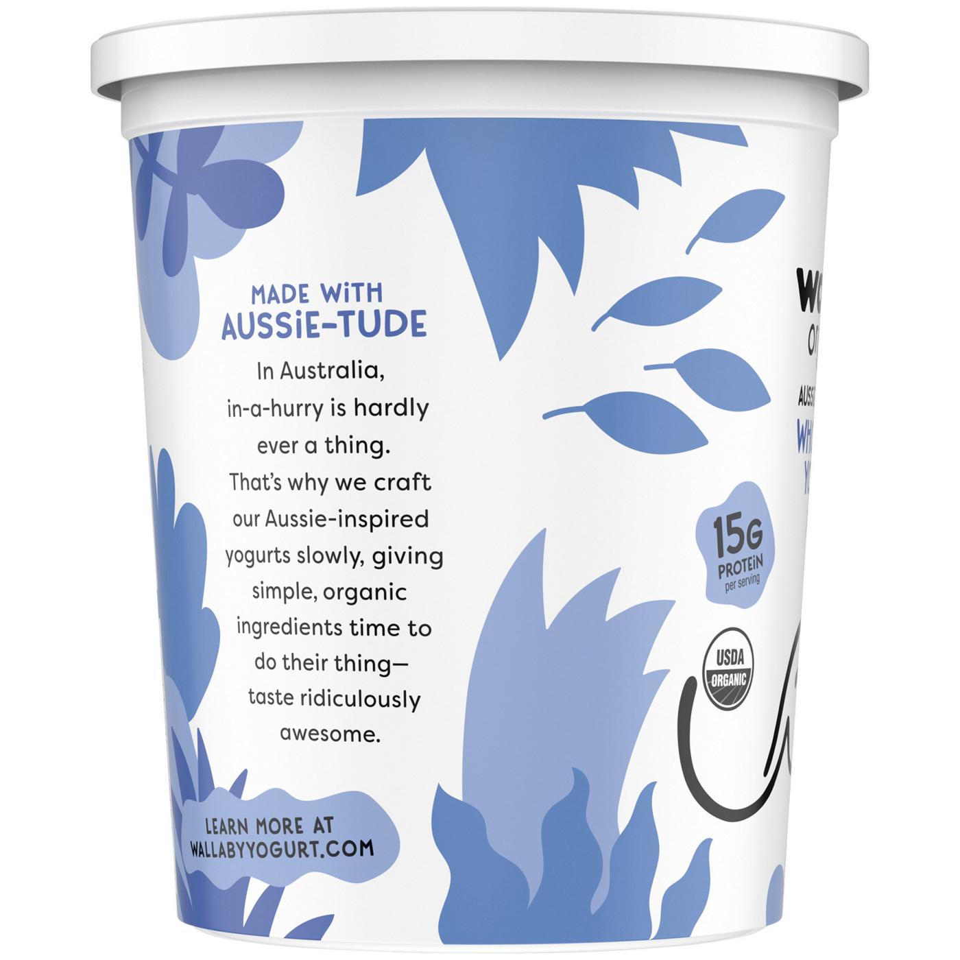 Wallaby Organic Whole Milk Greek Yogurt - Plain; image 5 of 6