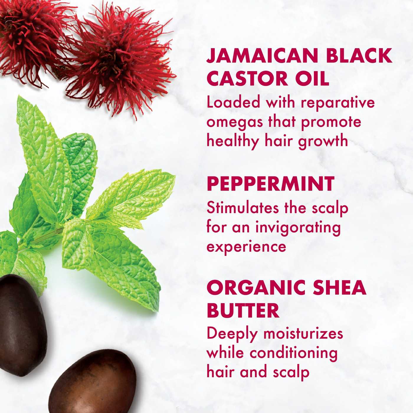 SheaMoisture Strengthen & Restore Shampoo - Jamaican Black Castor Oil; image 6 of 10