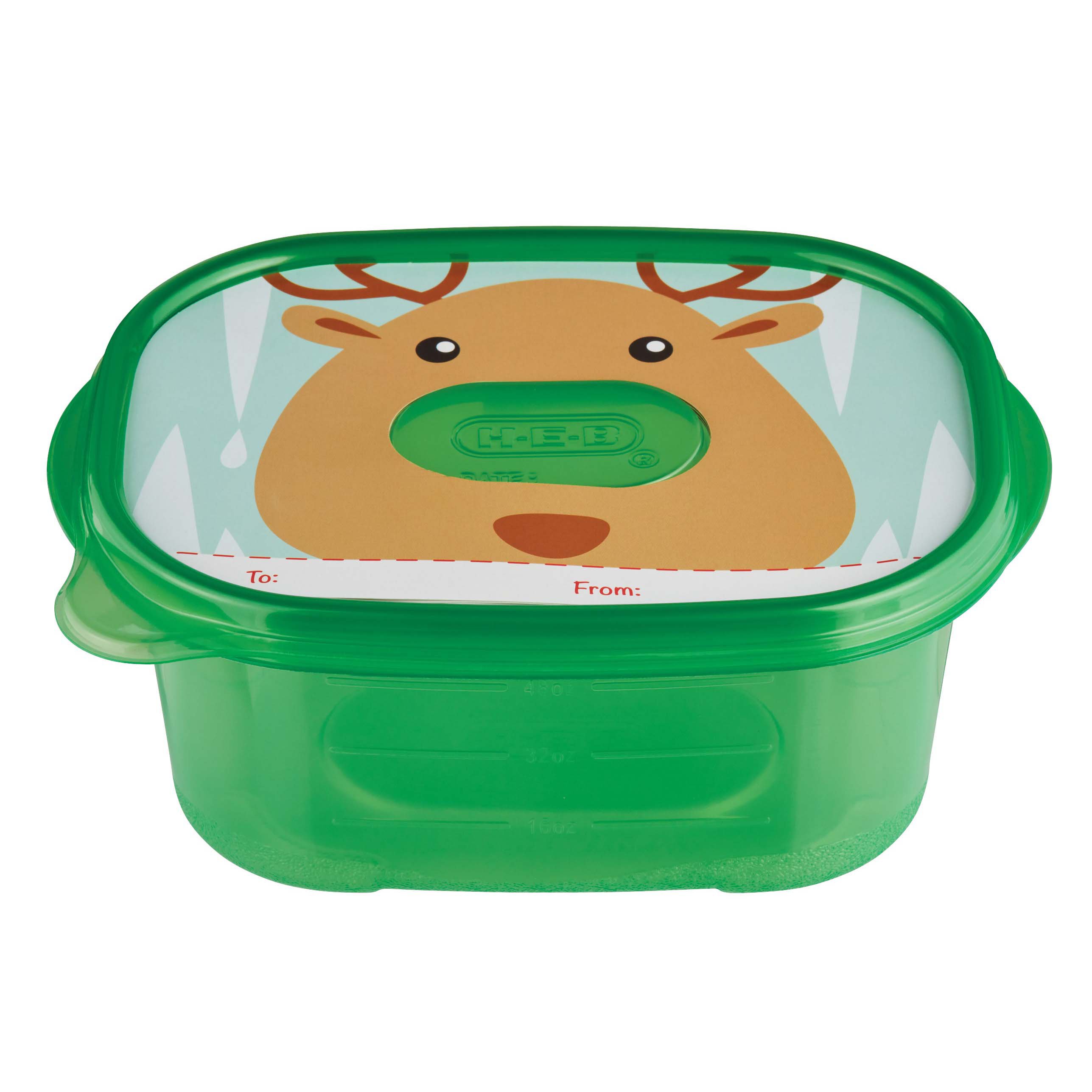 Destination Holiday Rectangle Food Storage Containers with Ice Pack - Shop Food  Storage at H-E-B