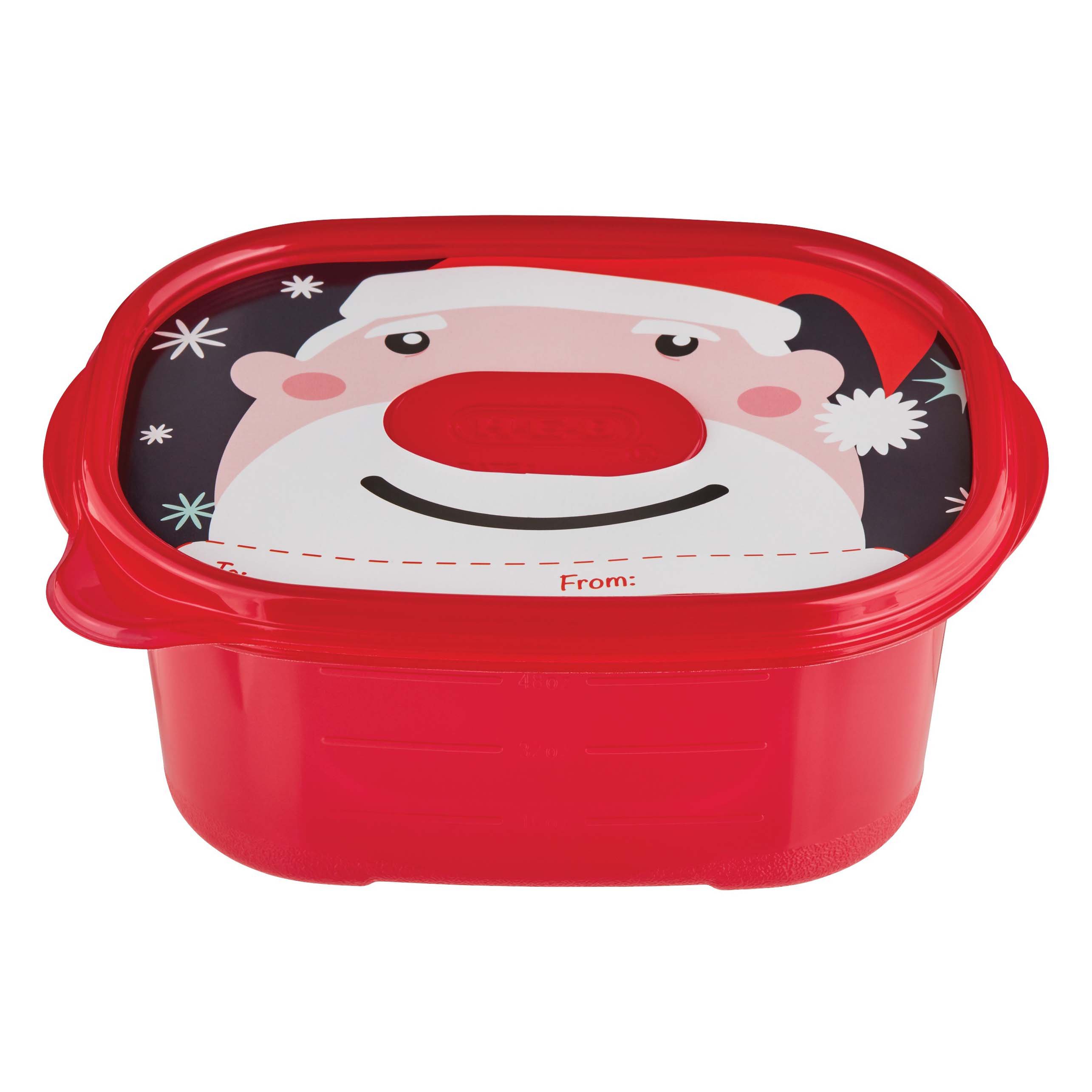 Destination Holiday Rectangle Food Storage Containers with Ice Pack - Shop Food  Storage at H-E-B