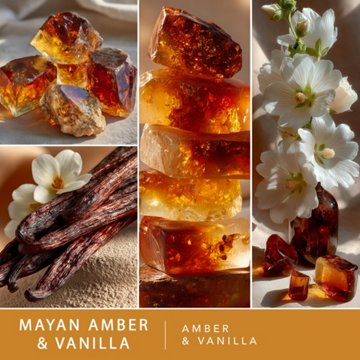 ScentSationals Mayan Amber & Vanilla Scented Wax Melt Cubes, 6 ct