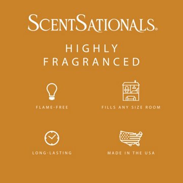 ScentSationals Mayan Amber & Vanilla Scented Wax Melt Cubes, 6 ct