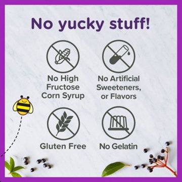Zarbee's Kid’s Daily Immune Support Gummies with Elderberry, 21 ct