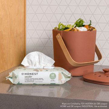 The Honest Company Clean Conscious Wipes - Geo Mood, 60 ct